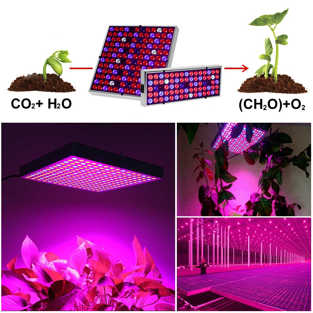 Lokwe™ Full Spectrum Lamp for Plant Growth